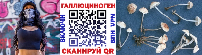 Галлюциногенные грибы GOLDEN TEACHER  Купить  Пенза 
